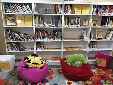 Temple Sinai Youth Library, July 2016