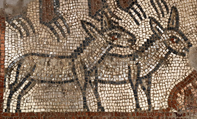 Animals of Noah's Ark 1 (Huqoq Mosaic)